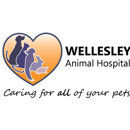 Wellesley Animal Hospital