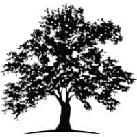 White Oak Global Advisors