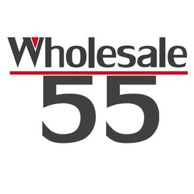 Wholesale55 color logo
