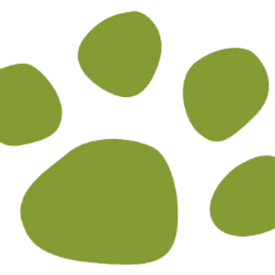 WholesalePet.com color logo