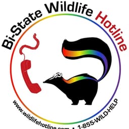 Wildlife Hotline