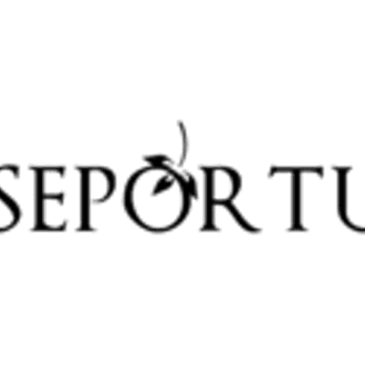 Wine House Portugal color logo