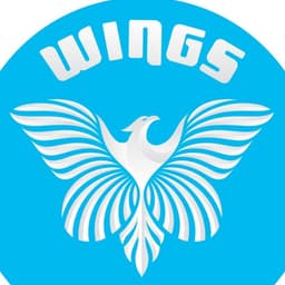 Wings Therapy and Learning Center