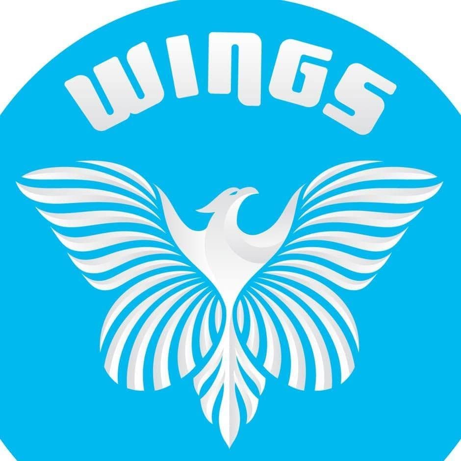 Wings Therapy and Learning Center color logo