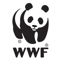 Wwfitalia