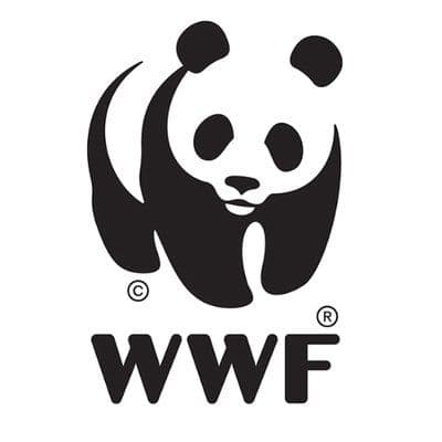 Wwfitalia color logo