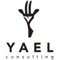 Yael Consulting color logo