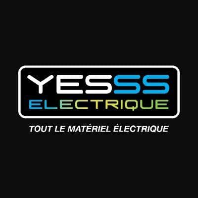YESSS Electrique color logo
