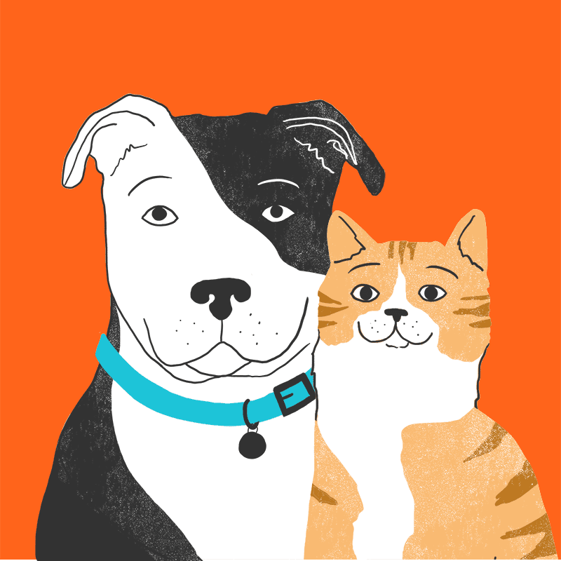 Zoetis Petcare
