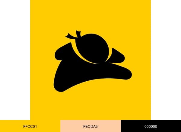 21Ninjas brand color palette