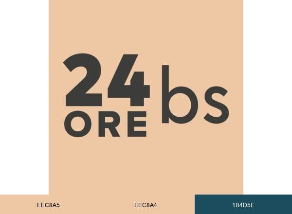 24Orebs brand color palette