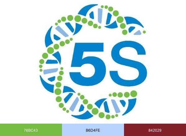 5Strands brand color palette