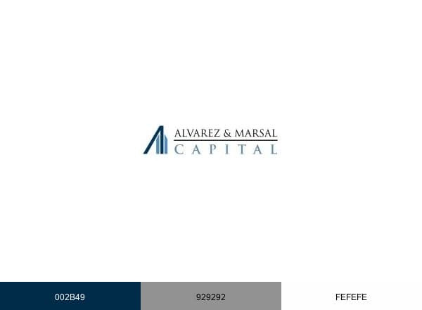 AM Capital brand color palette