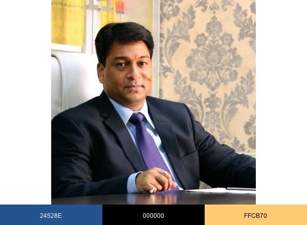 CA Bimal Jain brand color palette