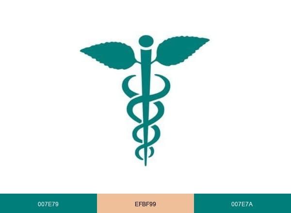 AANMC brand color palette