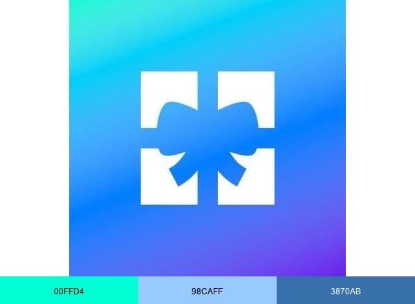 Access Perks brand color palette