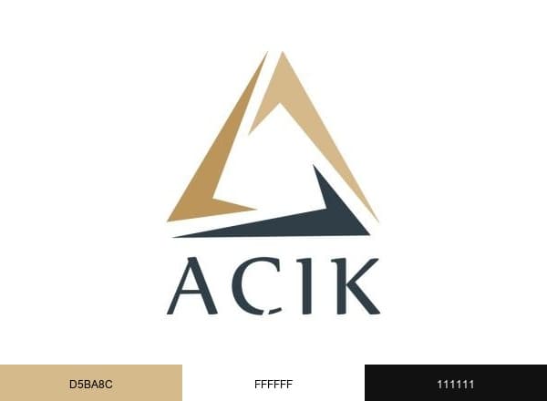 Açık Holding brand color palette