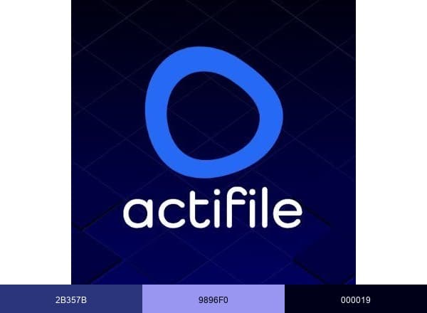 Actifile brand color palette