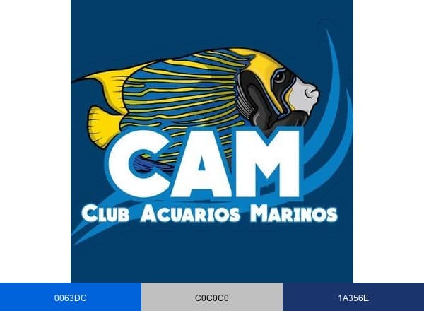 CAM brand color palette