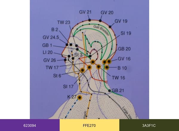 Acupressure brand color palette