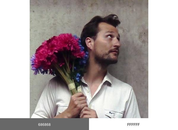 Adolfo Harrison brand color palette