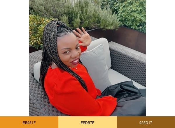· African Bites brand color palette