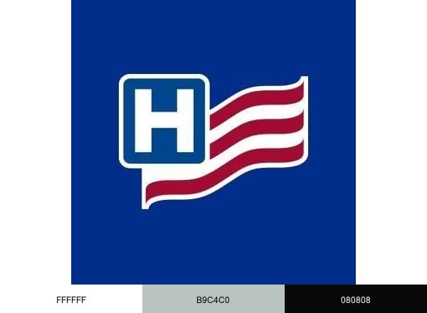 American Hospital Association brand color palette