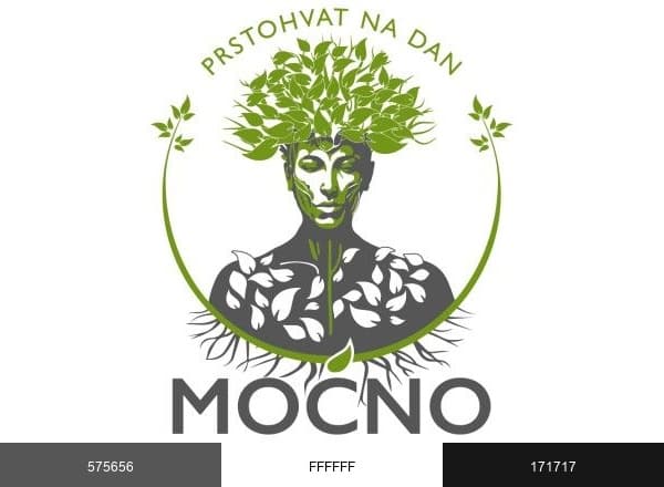 MOĆNO brand color palette
