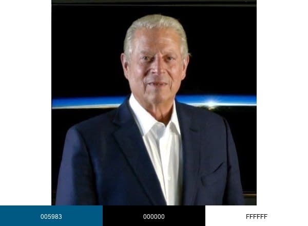 Al Gore brand color palette