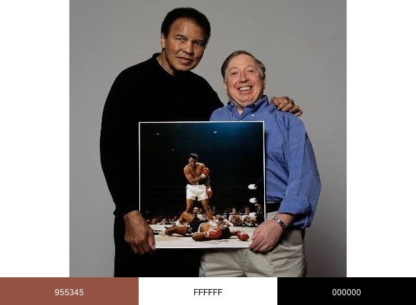 Neil Leifer brand color palette