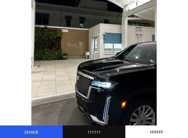 Allure Chauffeur brand color palette