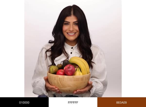 Alphafoodie brand color palette