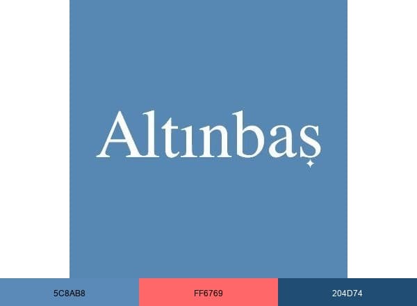 Altınbaş brand color palette