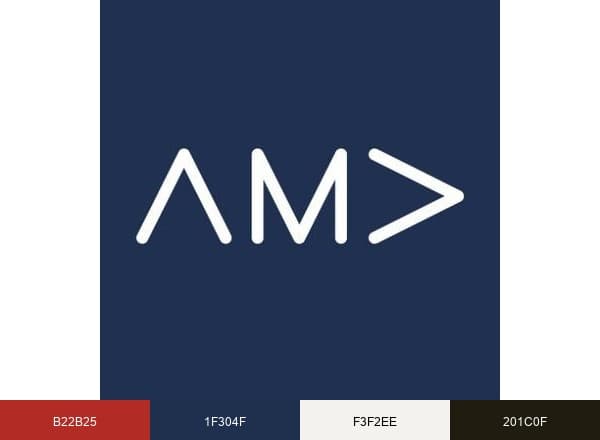 American Marketing Association brand color palette