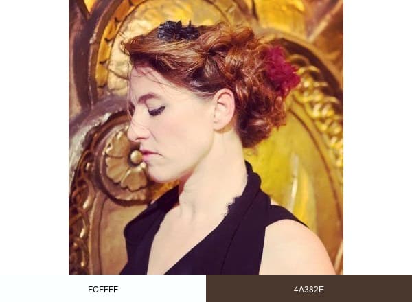 Amanda Palmer brand color palette