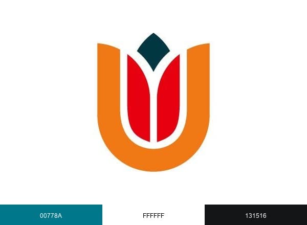 Amsterdam UMC brand color palette