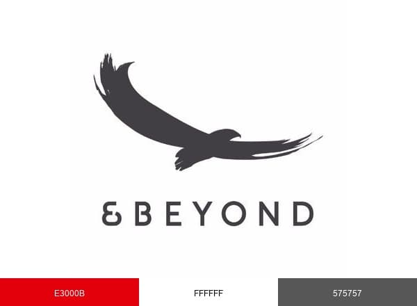 andBeyond brand color palette