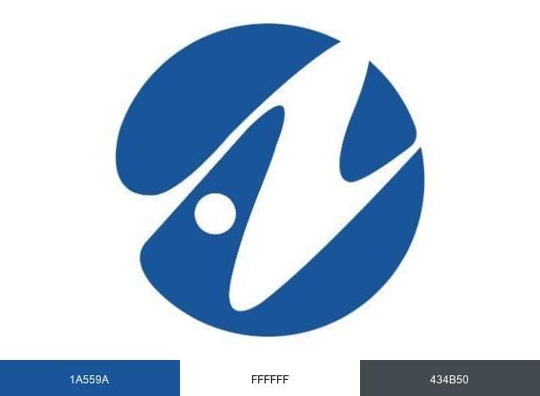 Anika brand color palette