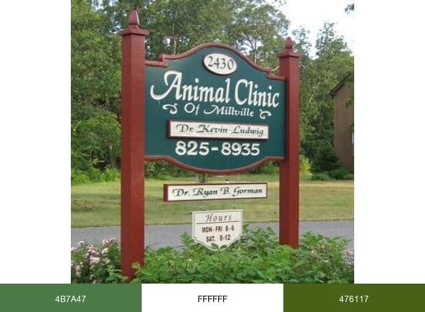 Animal Clinic of MLV brand color palette