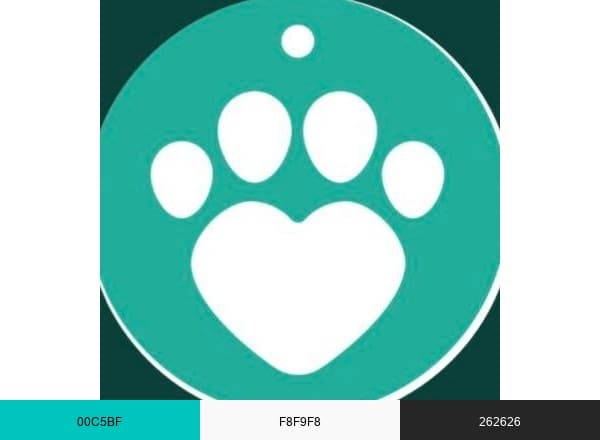 The Animal Foundation brand color palette