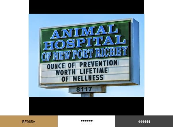 Animal Hospital of New Port Richey brand color palette