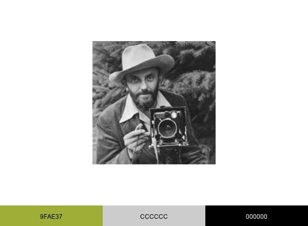 The Ansel Adams Gallery brand color palette