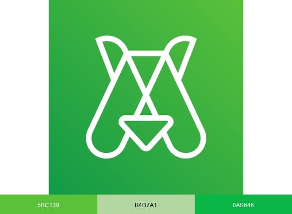Anymal brand color palette