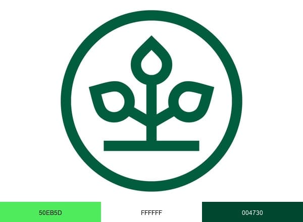 AOK brand color palette