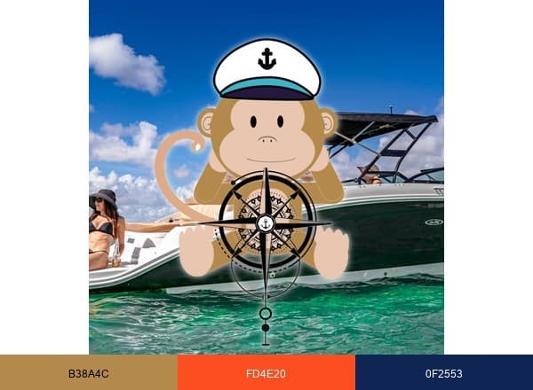 Aquarius boat tours brand color palette