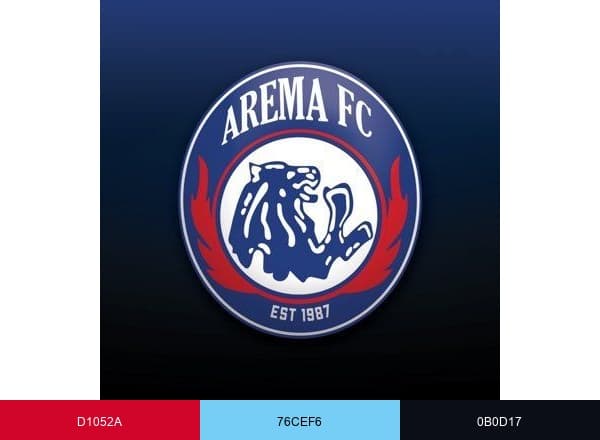 Arema FC brand color palette