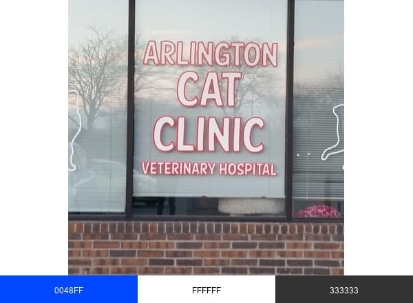 Arlington Cat Clinic brand color palette