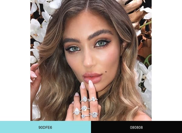 Armans Fine Jewellery brand color palette