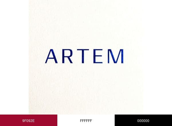 Artem Straps brand color palette