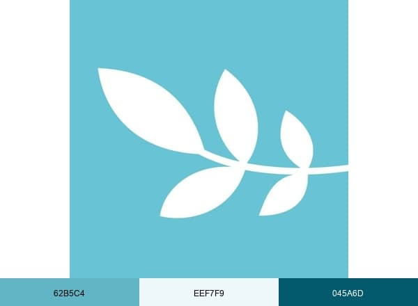 Ashwood Vets brand color palette